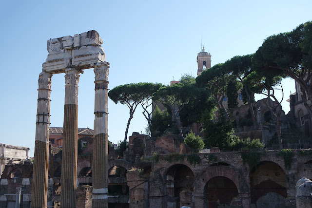 Forum romain, Palatin, Colisée, Rome, Roma, Blog, Voyage, basilique, centre historique, Ruine, Vestige,