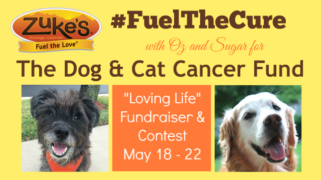 Join Oz and Sugar to Fuel The Cure for The Dog & Cat Cancer Fund with Zuke's
