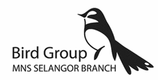 | KL & SELANGOR BIRDERS |