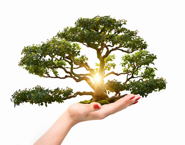 Abundancia citas-de-prosperidad