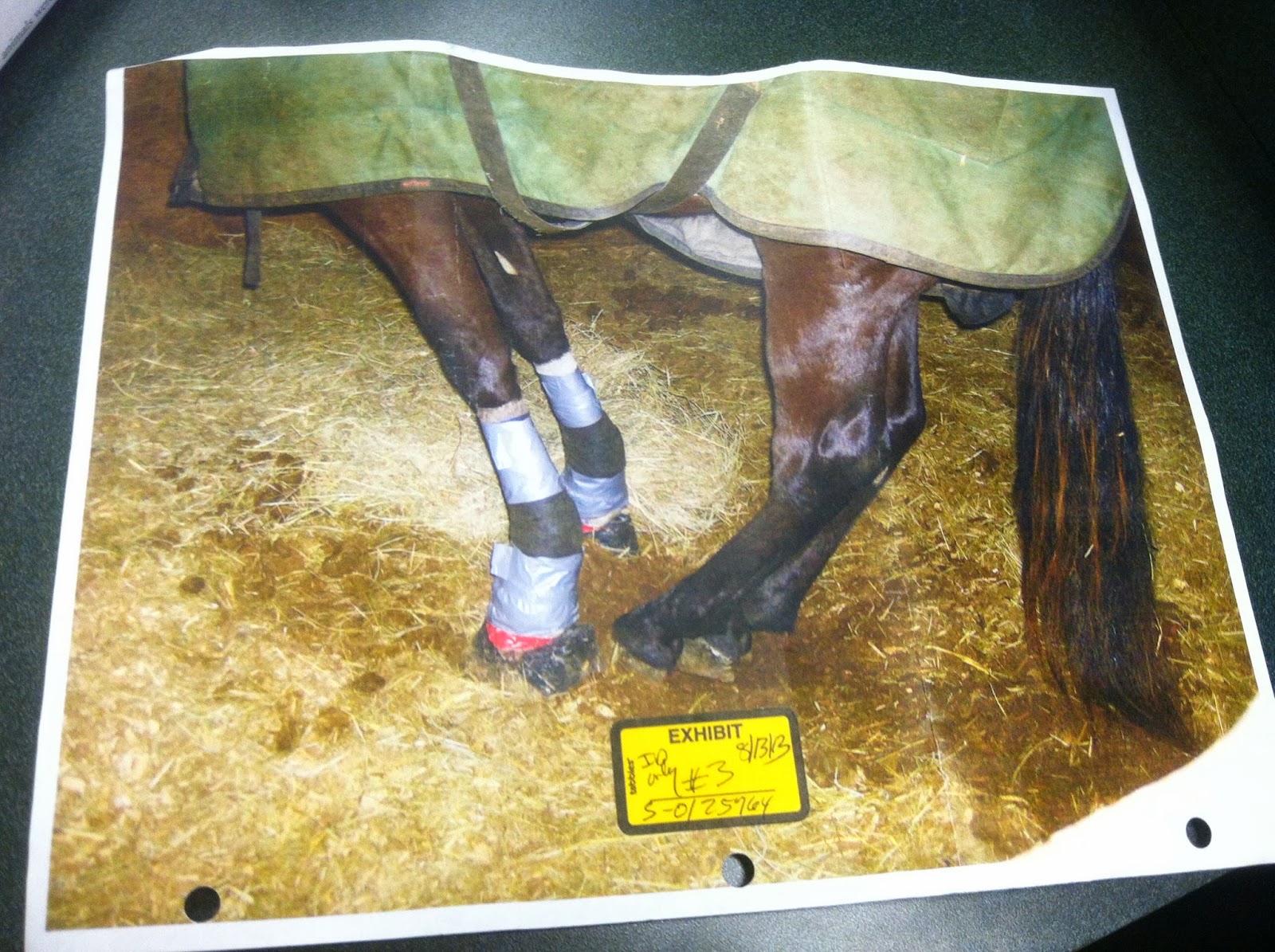 For the Tennessee Walking Horse NEWS and HOW YOU CAN HELP PLEASE