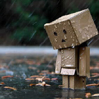 Kumpulan Foto Danbo Galau 2014 Kumpulan Foto Danbo Galau 2014