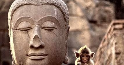 oreana buddhist personals Dharmamatch, a dating/matchmaking site for spiritual singles browse in-depth photo profiles/personals meet local singles who share your beliefs & values. oreana buddhist personals Dharmamatch, a dating/matchmaking site for spiritual singles browse in-depth photo profiles/personals meet local singles who share your beliefs & values.