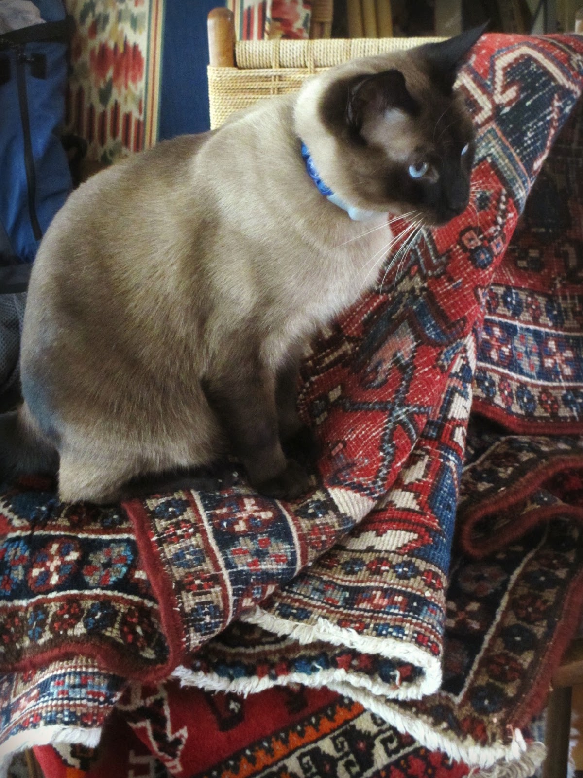 Mystery Fanfare Oriental Cat Oriental Rug