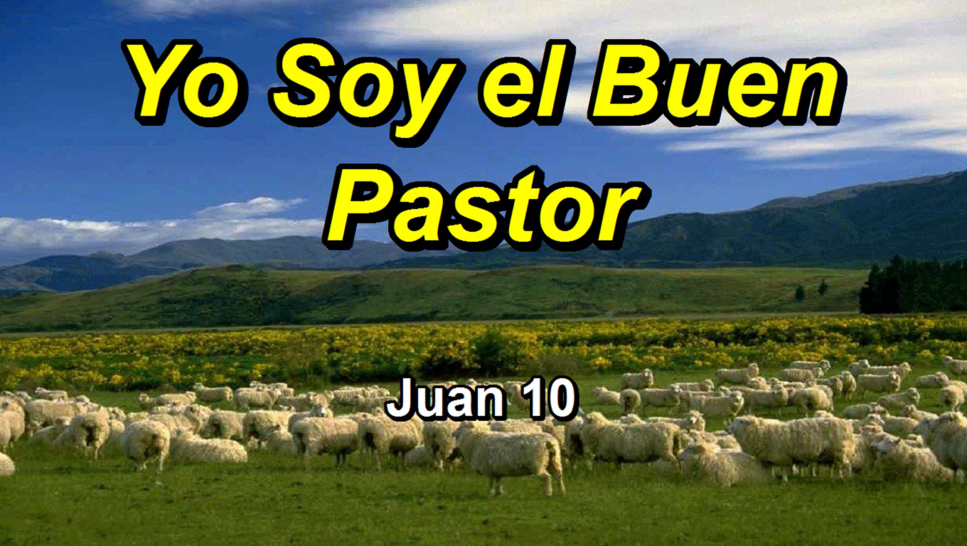http://4.bp.blogspot.com/-Kus2M7NCX_k/T5tAaSP9zUI/AAAAAAAAEzY/7SolxWLlz_0/s1600/yo-soy-el-buen-pastor-GIF.png
