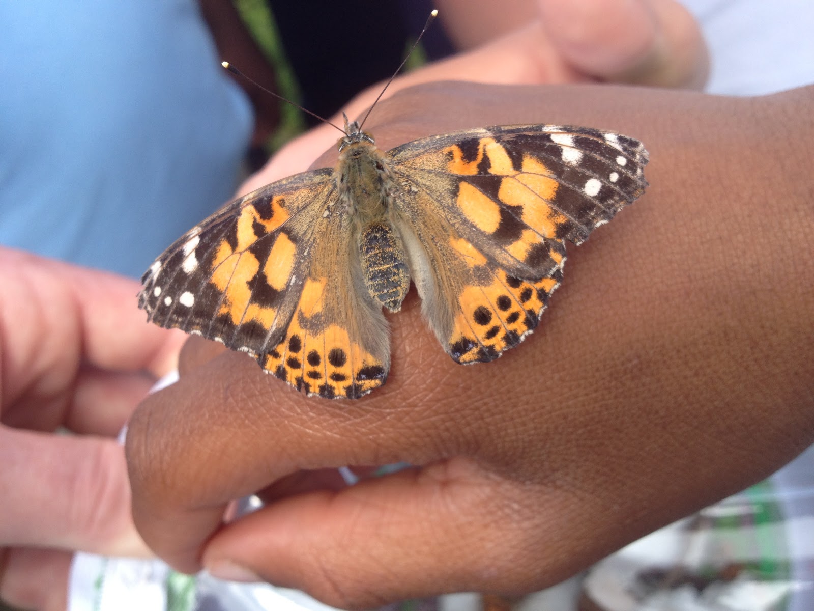 Hurricane Science Spot May 2013