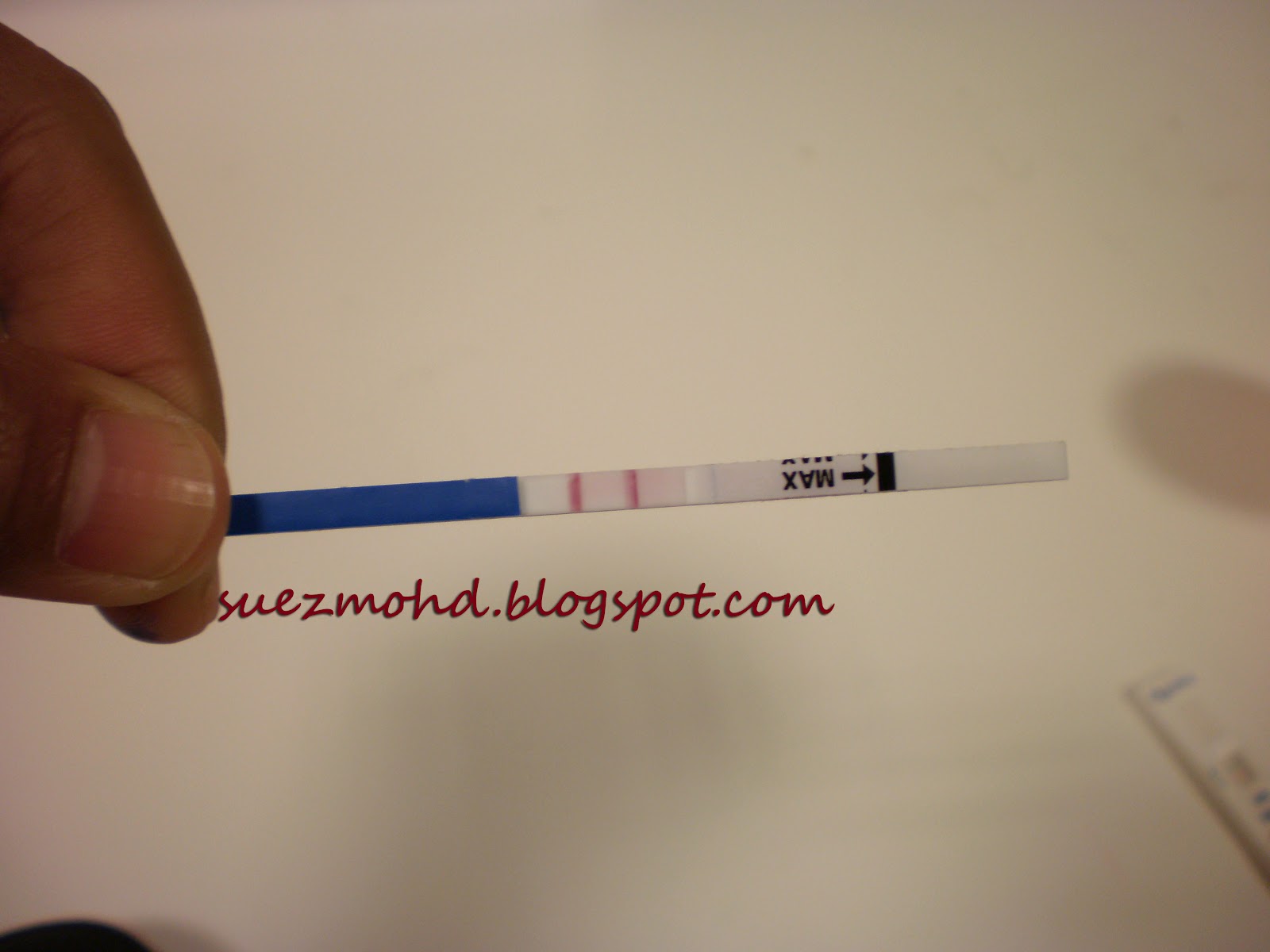 Live With Excitement Pregnancy Test (Ujian Kehamilan)