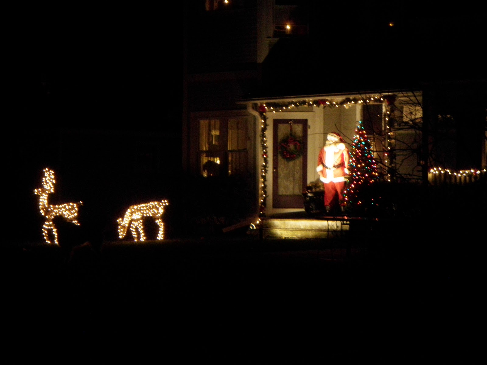 For the love of Disney running... Christmas Lights and Night Running