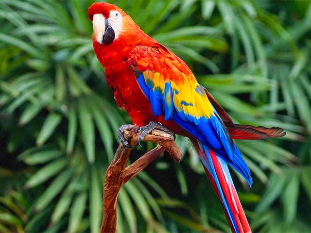 zoo santa cruz bogota