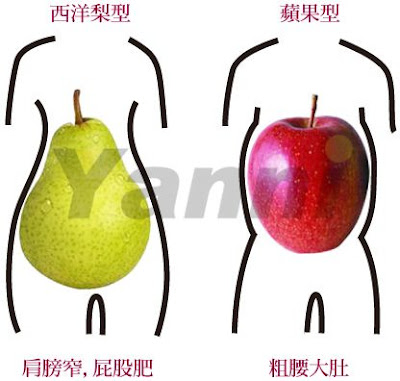 西洋梨/蘋果型肥胖要如何瘦下半身? 西洋梨/蘋果型肥胖要如何瘦下半身?