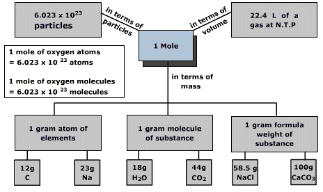 Mole City Chemistry