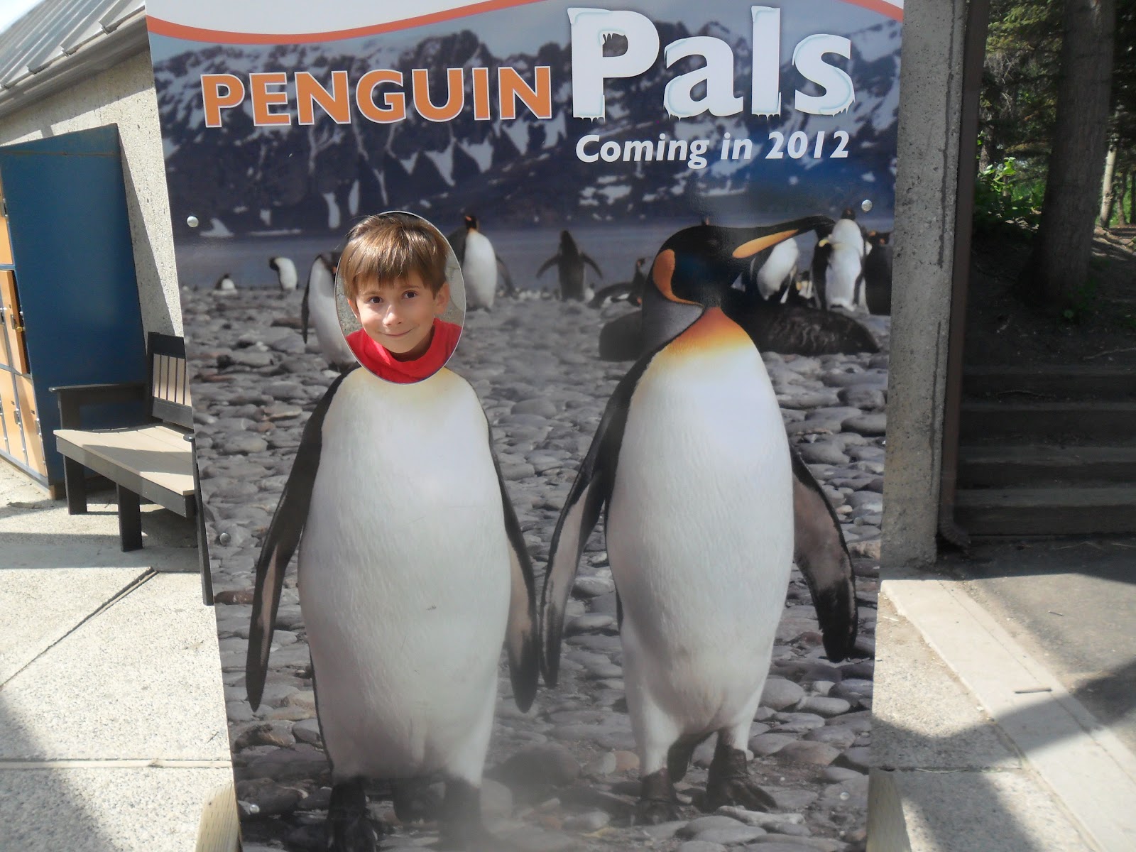 The penguins in Calgary: | "I don't want to live in a world without
