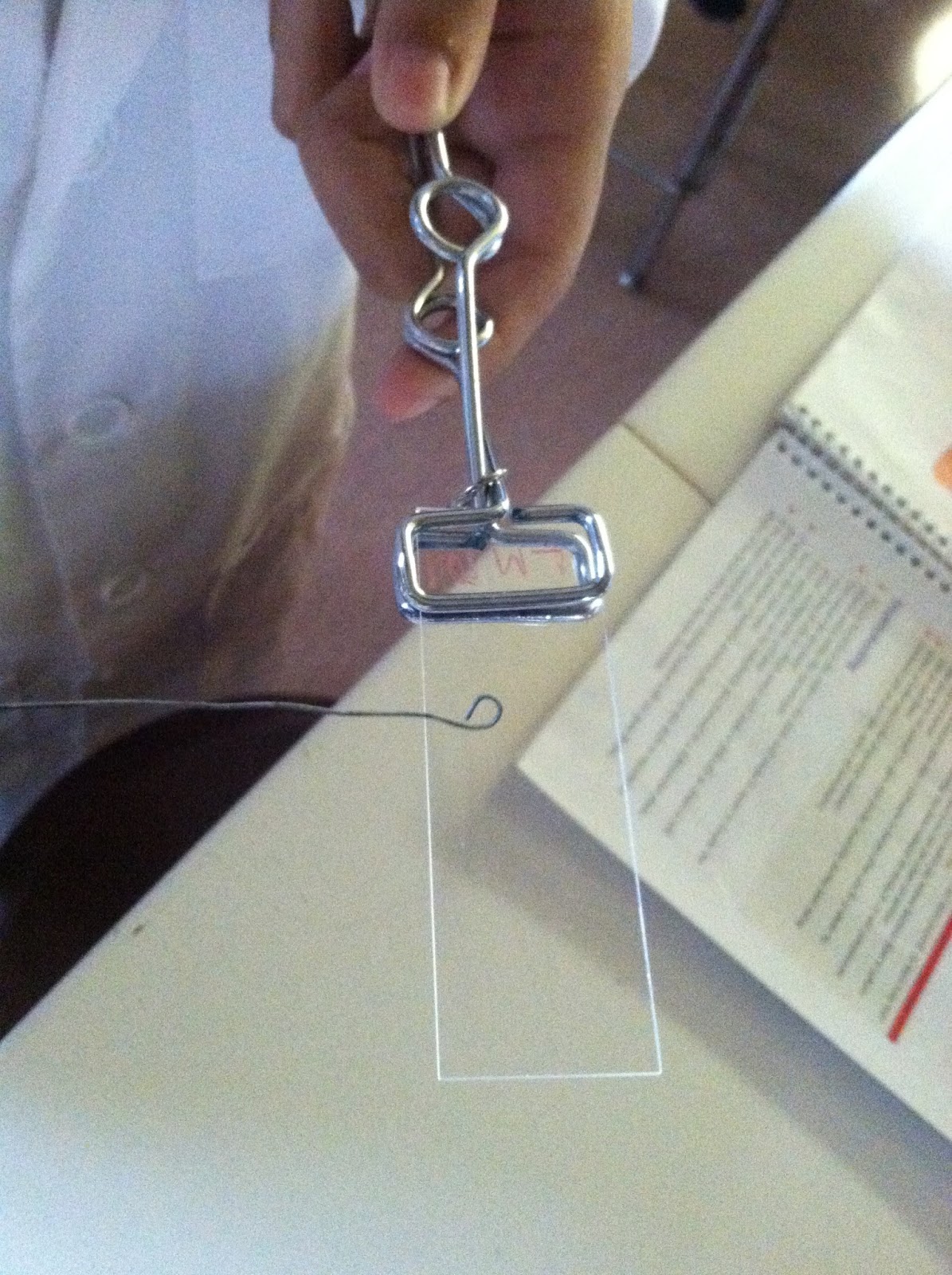 Smear preparation pdf image