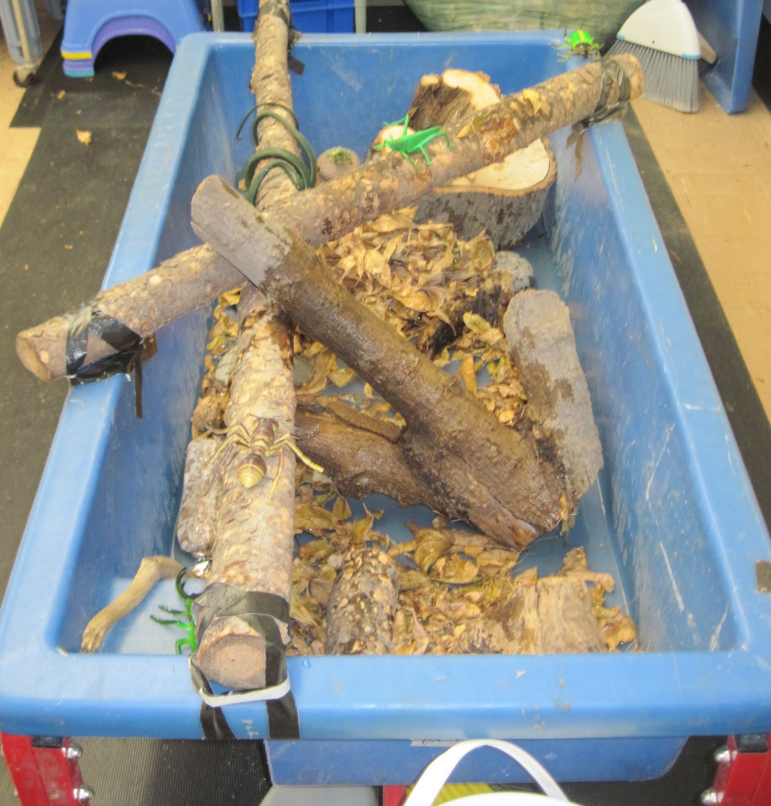 SAND AND WATER TABLES SWAMP II