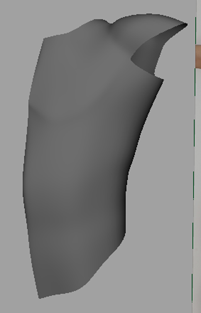 Human Body Modelling