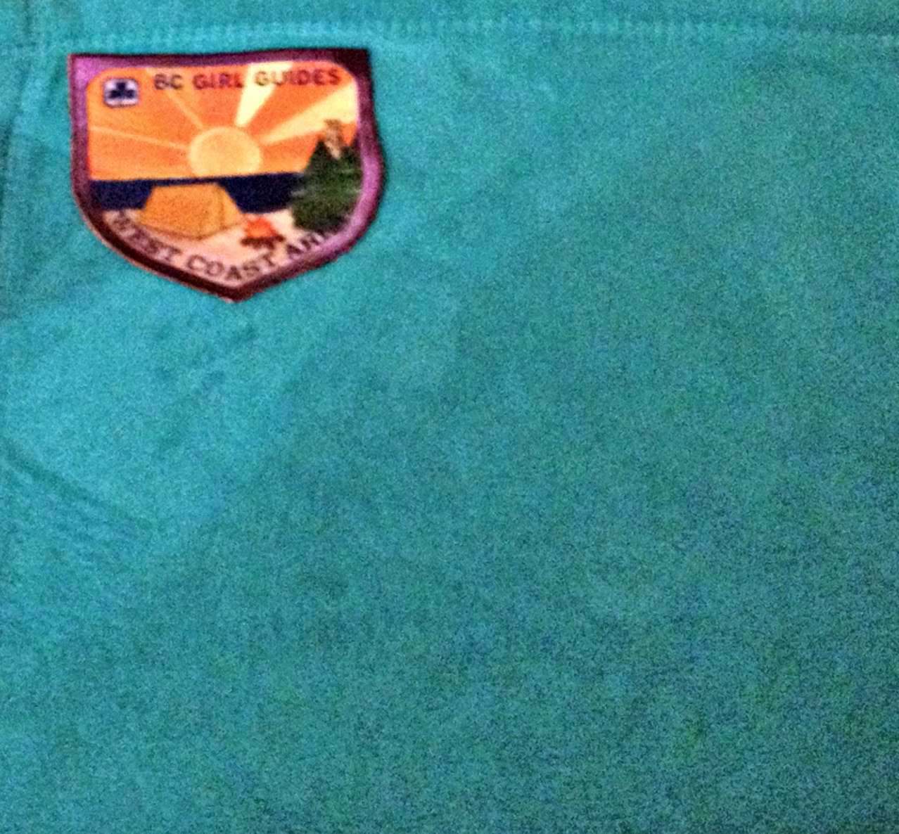 Diary of an Urban Housewife How to make a Girl Guide/Girl Scout Blanket