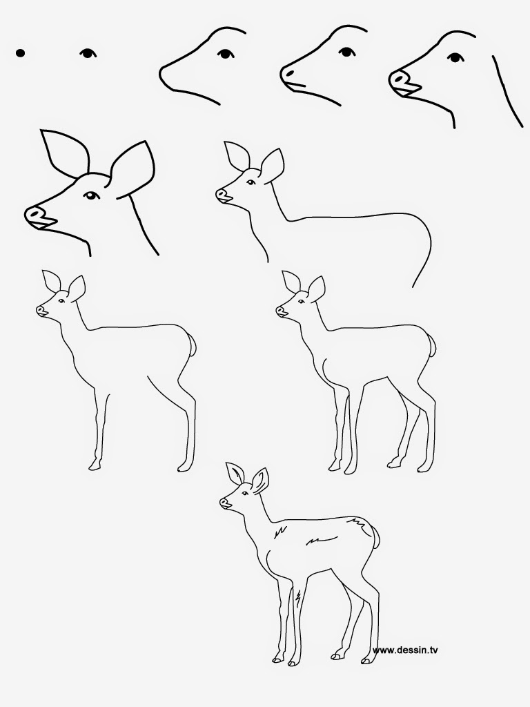 Step-by-step sketching examples | Stuff You Look