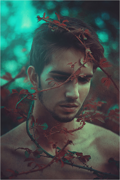 Emerging Photographers, Best Photo of the Day in Emphoka by Angel, https://flic.kr/p/vxzD3c Emerging Photographers, Best Photo of the Day in Emphoka by Angel, https://flic.kr/p/vxzD3c