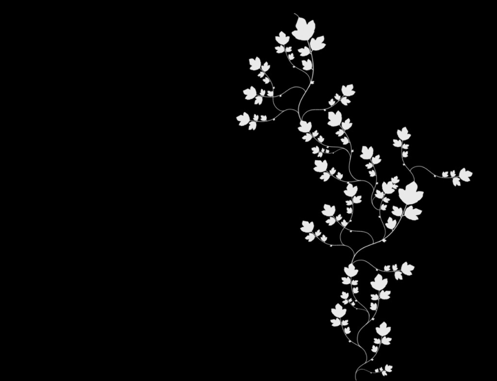 A Place For Free HD Wallpapers | Desktop Wallpapers: Black Backgrounds