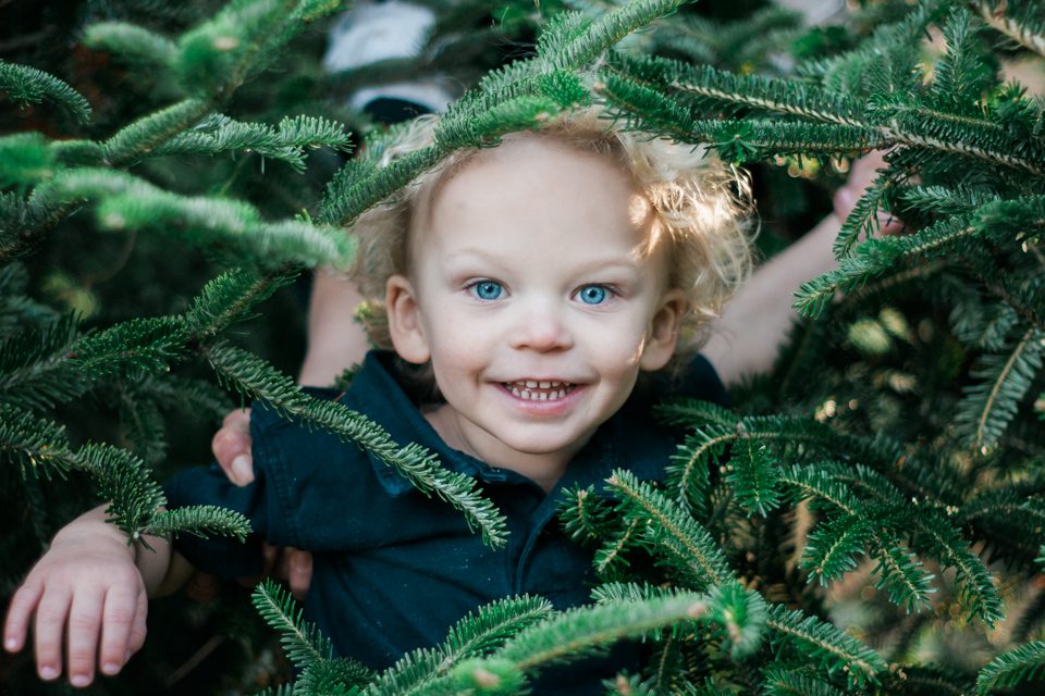 Johnson Family Photography Adventure at The What Fir Tree Farm | Boone, NC Photographer