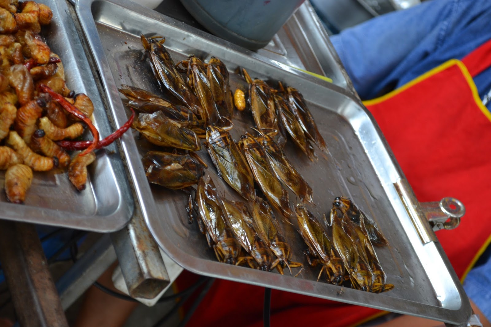 HAT YAI TRIP DAY 1 BIRD NEST DAN FLOATING MARKET — Diary Mama