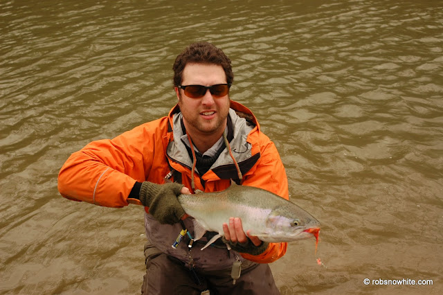chagrin river steelhead rob snowhite