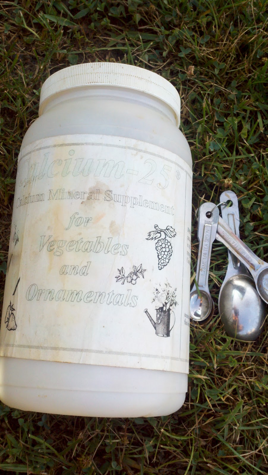 Download Girl With The Green Hair Disgusting Farm Experience 126 Blossom For Free Get Wallpaper Girl With The Green Hair Disgusting Farm Experience 126 Blossom HD