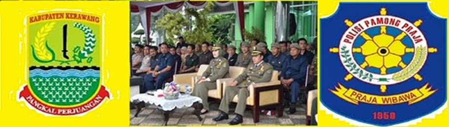 Satuan Polisi Pamong Praja Kabupaten Karawang