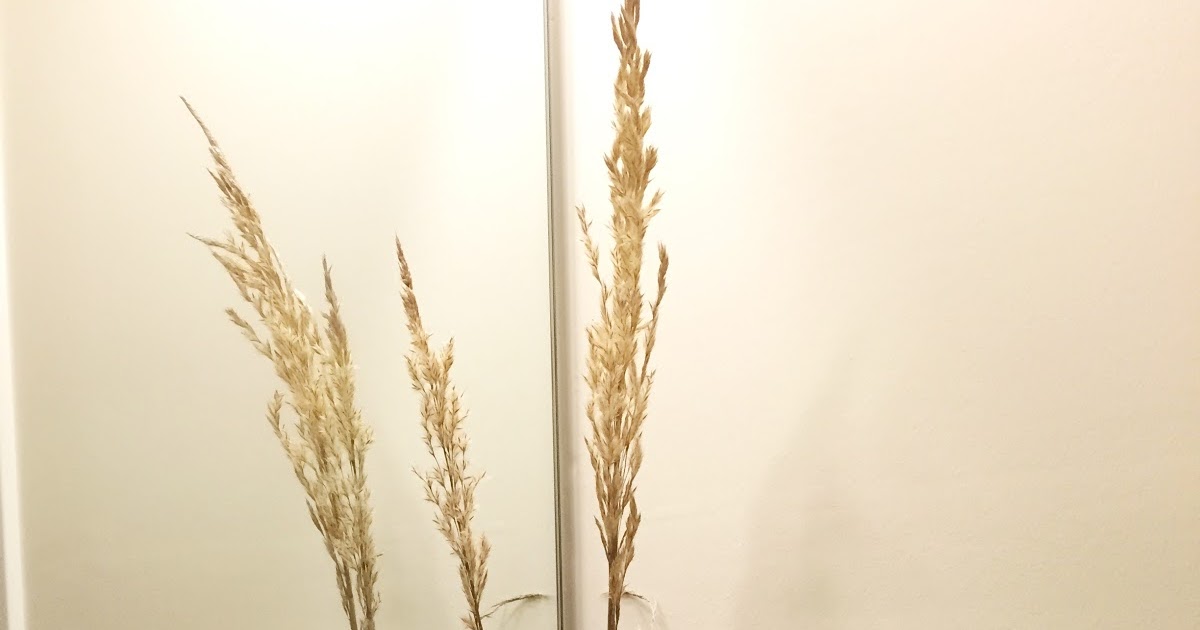 My First Dry Flower Arrangement Karl Foerster, Annabelle Hydrangea