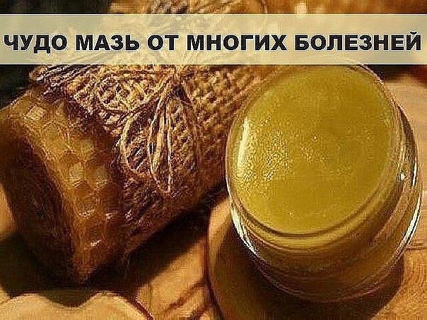 Рецепты лечебные мази Рецепты лечебные мази