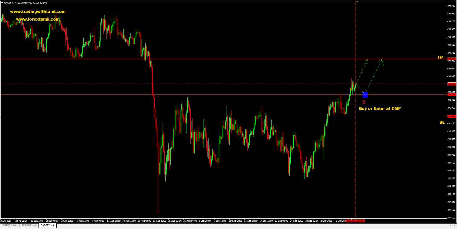 Forex course in jb