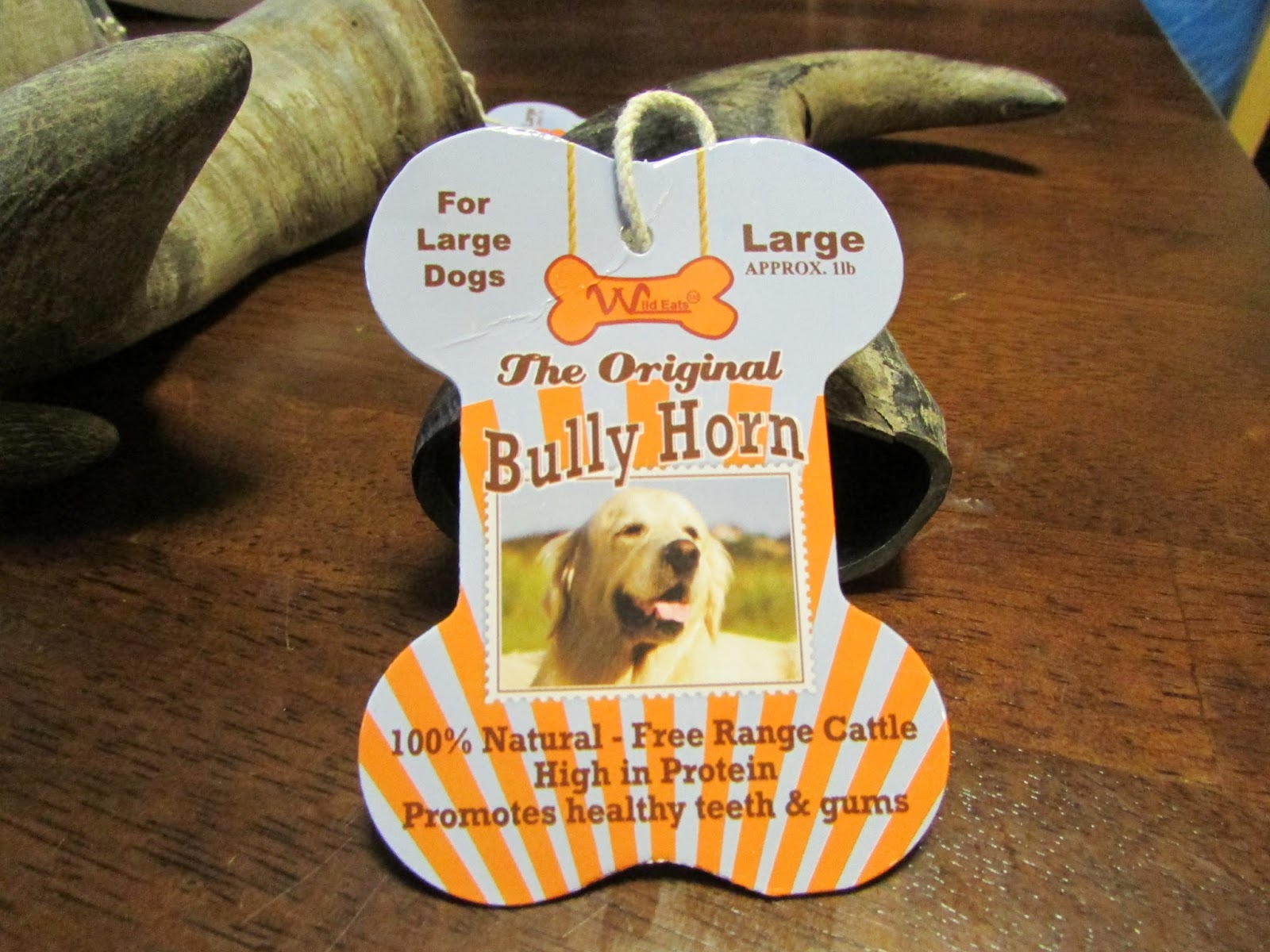 My Rotten Dogs Bully Horn Review