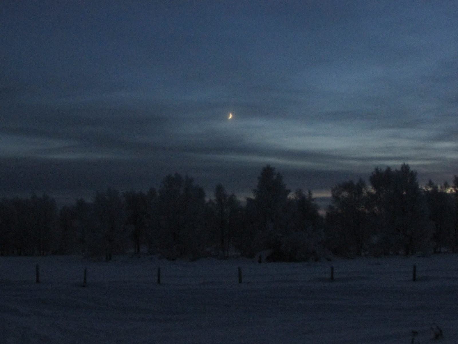 Life and lizzyâ¡: droombestemming: het wintersprookje lapland