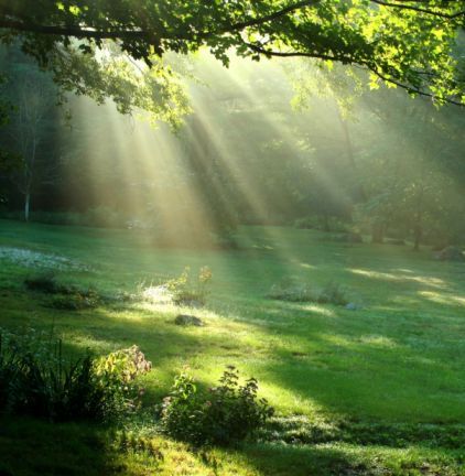 Philosophy Of Nature Cure Philosophy Of Nature Cure