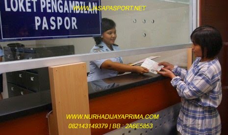 Pembuatan Paspor Untuk Lansia | cara mengurus kitas untuk lansia http www Pembuatan Paspor Untuk Lansia | cara mengurus kitas untuk lansia http www