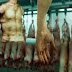 بريطانيا تفتتح أول متجر للحوم البشر