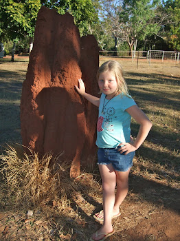 Eylsie NP Termite mounds