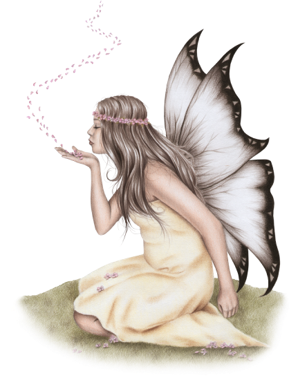 la casa de chichi: Hadas PNG