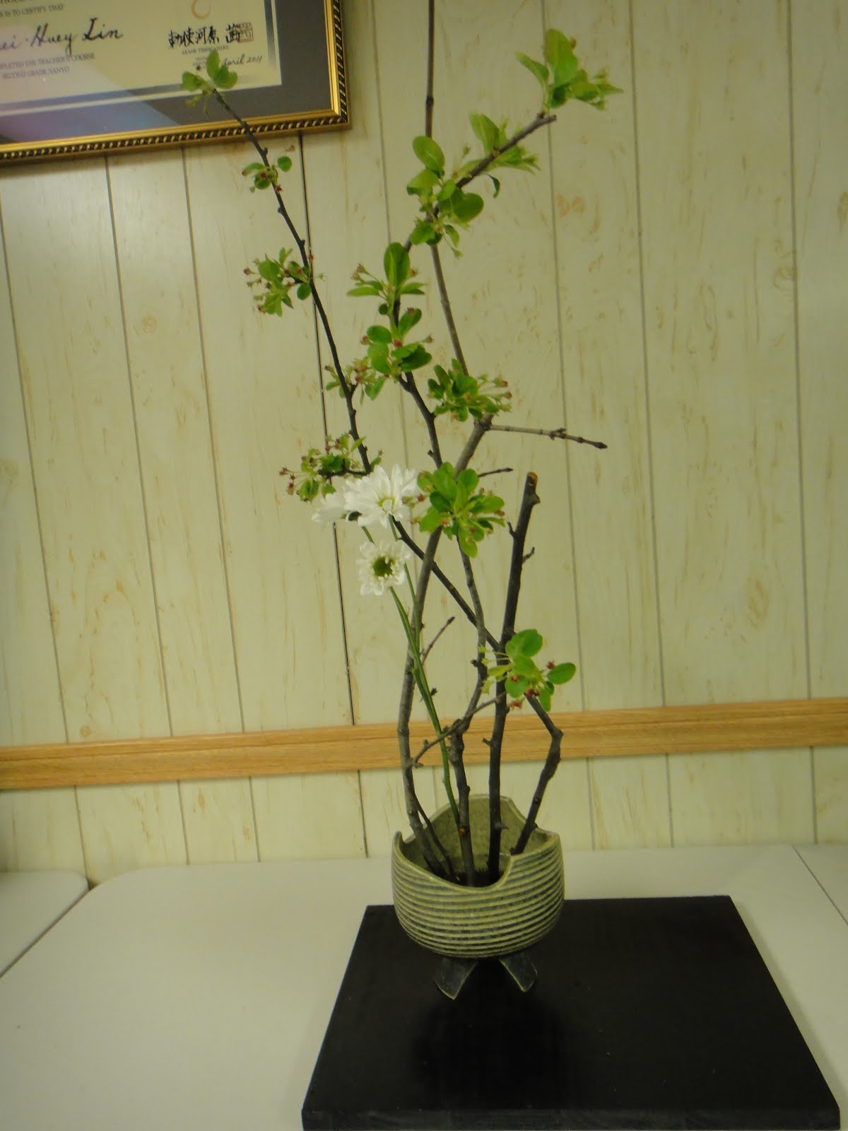 Flowers,Ikebana and I showing Lines at Base