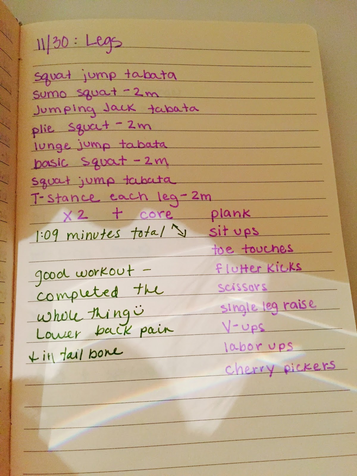 fitness journal