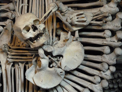 escudo huesos kutna hora escudo huesos kutna hora