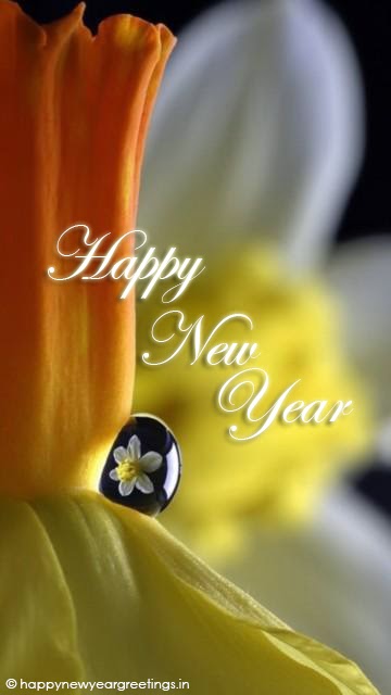 cool new year mobile wallpapers greetings smurfy happy cool new year mobile wallpapers greetings smurfy happy