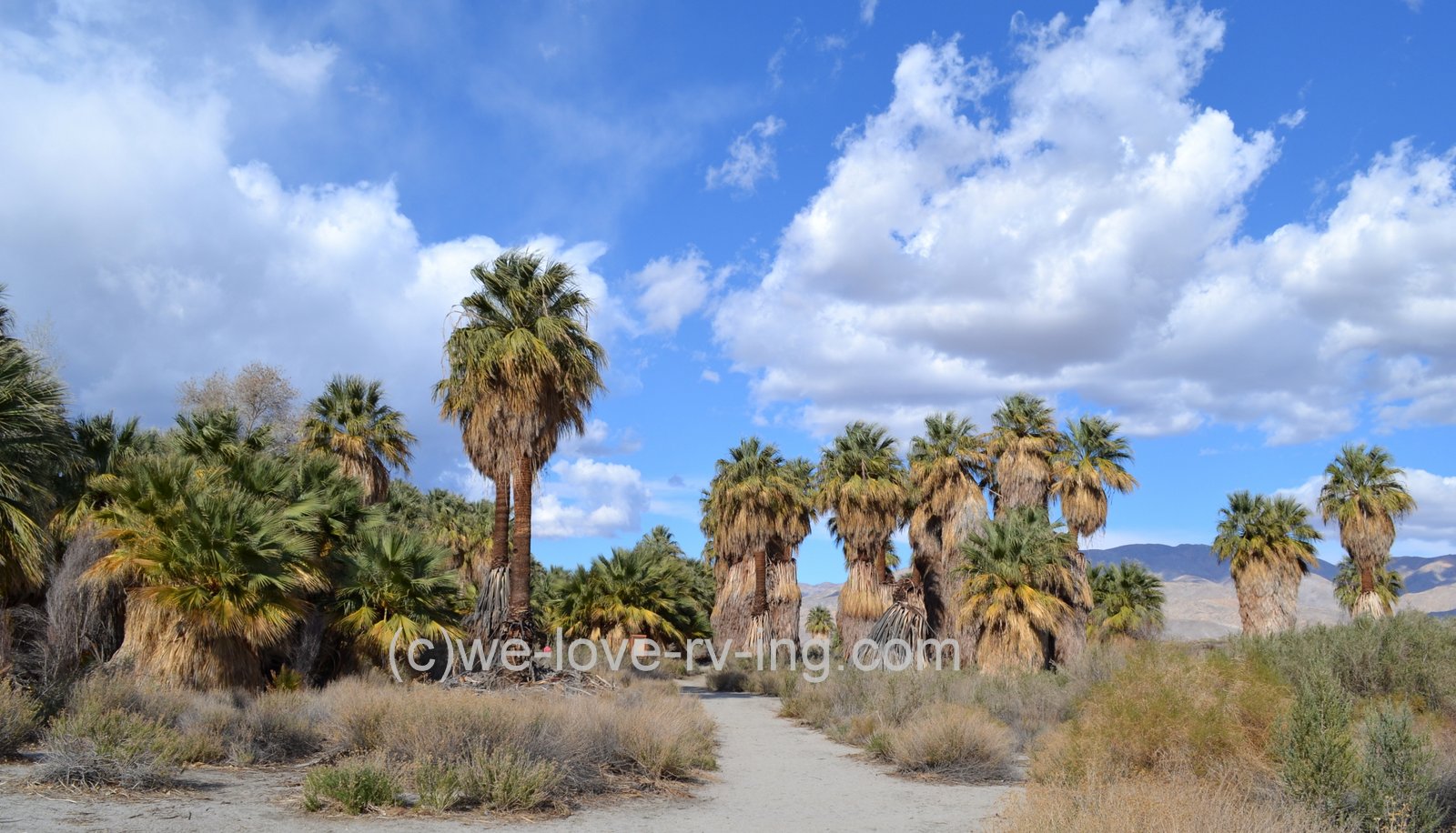 We Love RV'ing Coachella Valley Preserve 1000 Palm Canyon California