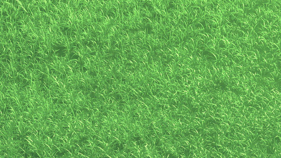 3d anime grass