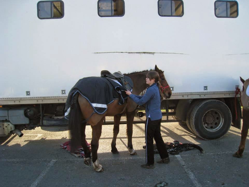 SANGLE POUR BAS-FLANC CAMION Equip'Horse