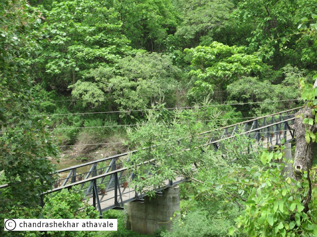 The Great bend of the Waghora rivulet at Ajantha caves