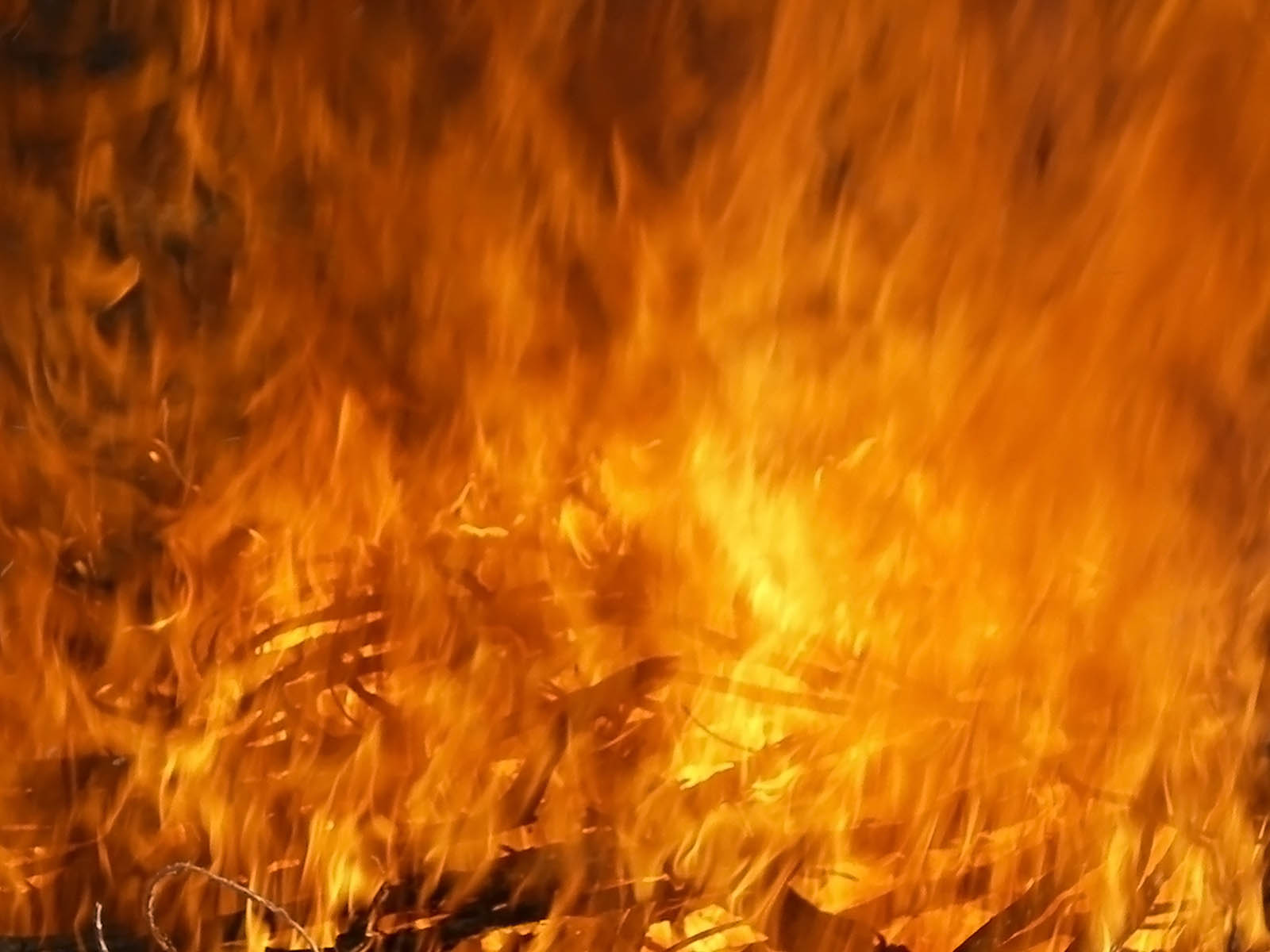 wallpapers fire flames gifts for christmas for girls