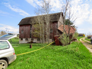 shed demolition