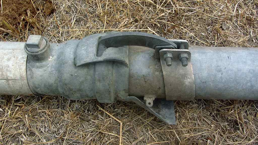 Life among the Tall Pines Irrigation