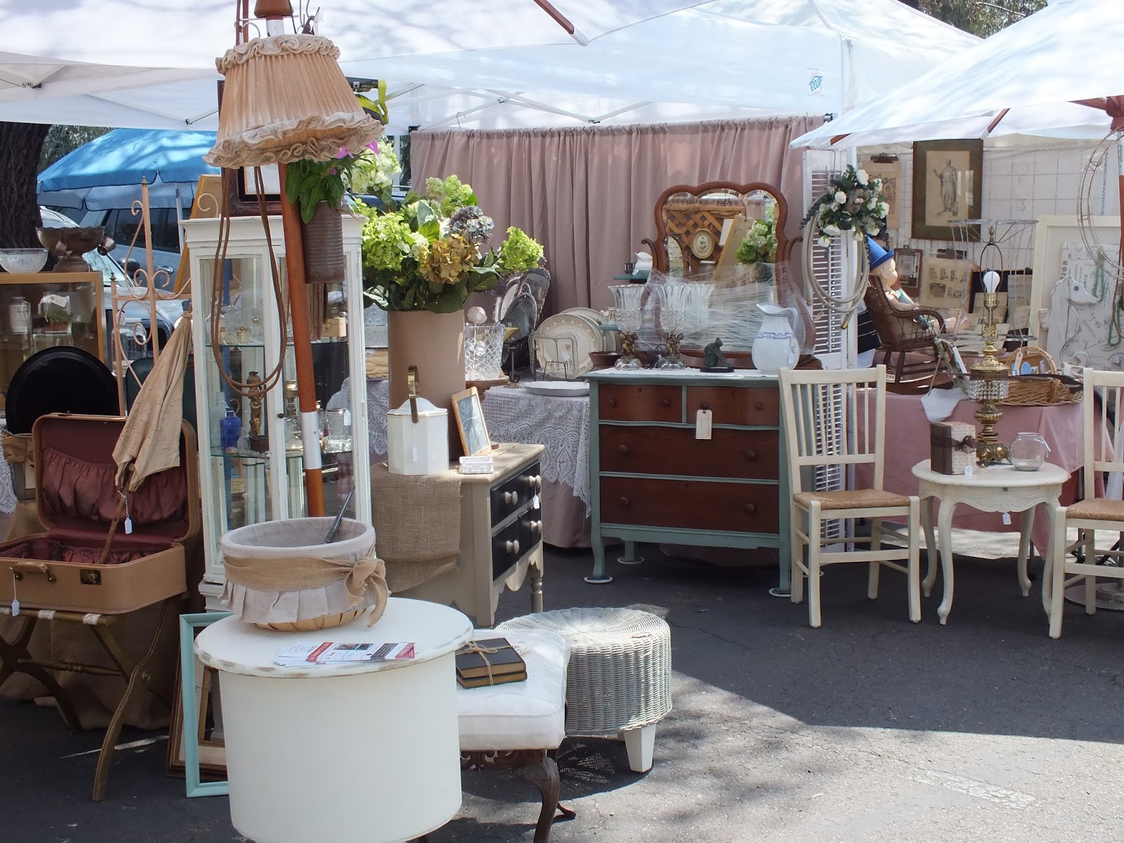 Behind the Picket Fence